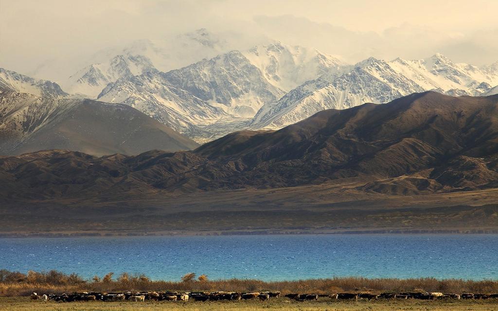 Issyk-Kul Reserve