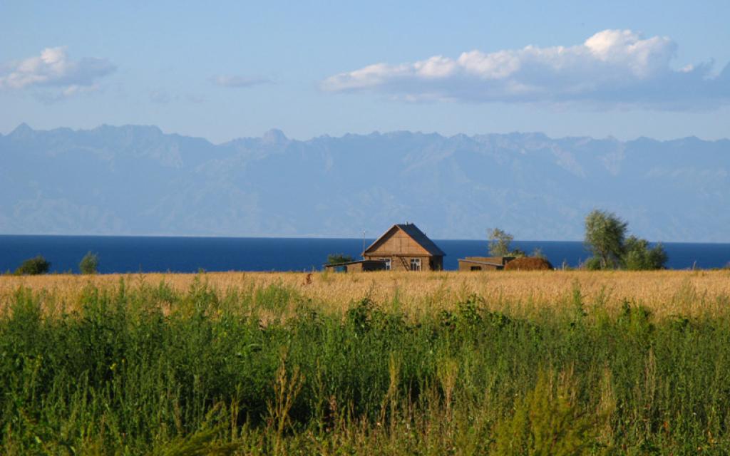 Tamga