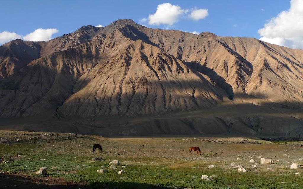 Sarychat-Ertash Reserve 