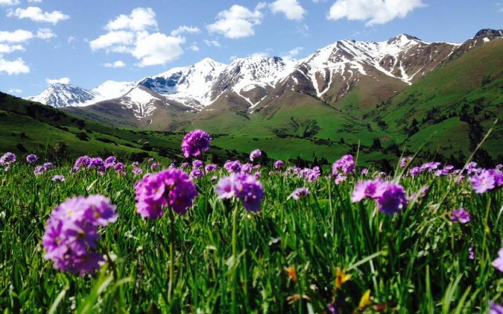 Jyrgalan valley