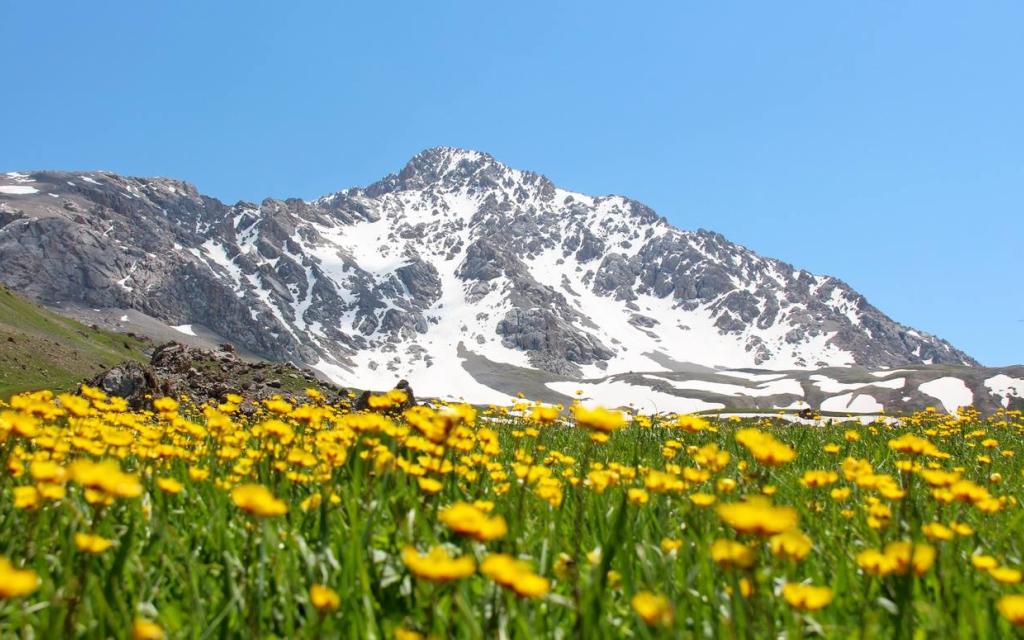 Fergana Valley