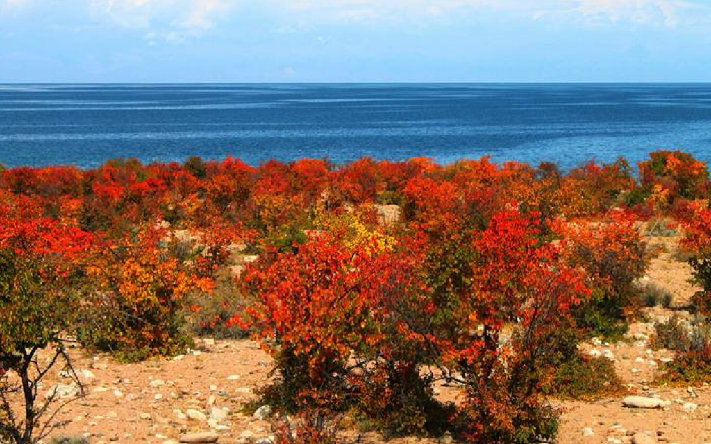 Autumn Kyrgyzstan
