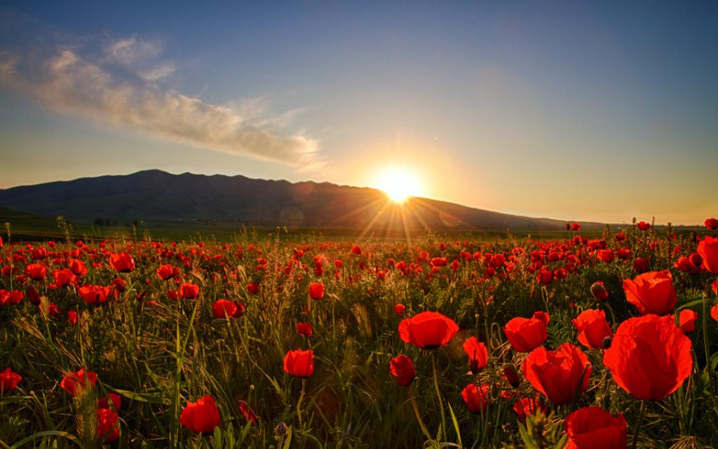 Springtime