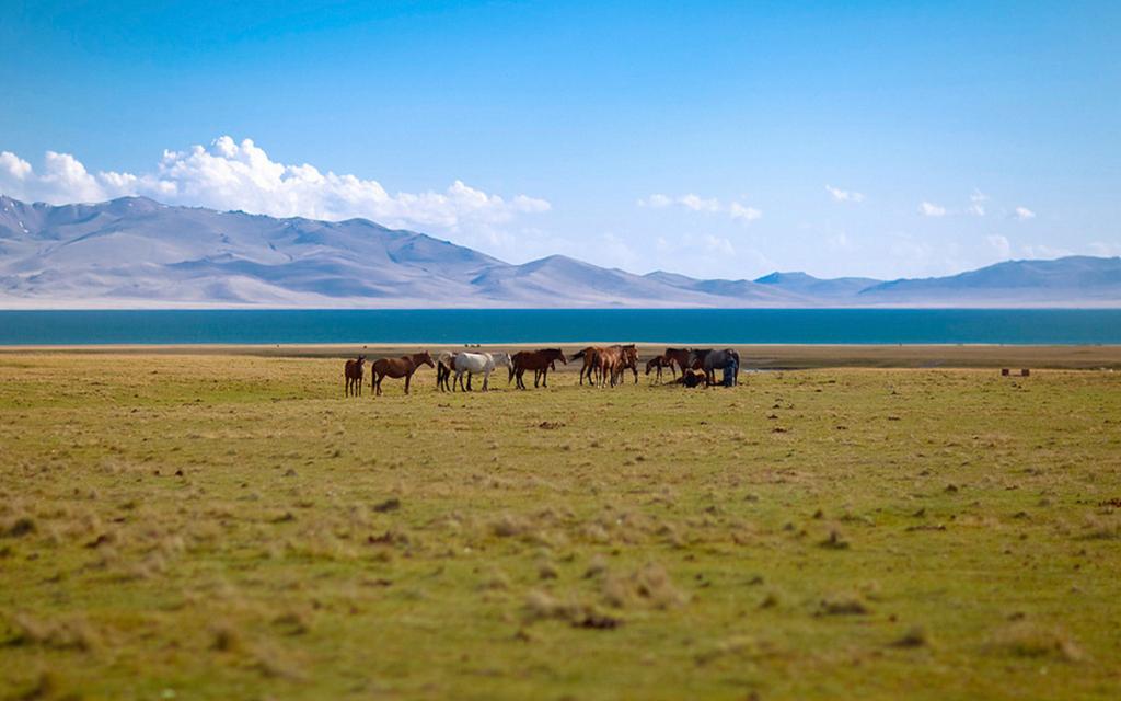Lake Son-Kul
