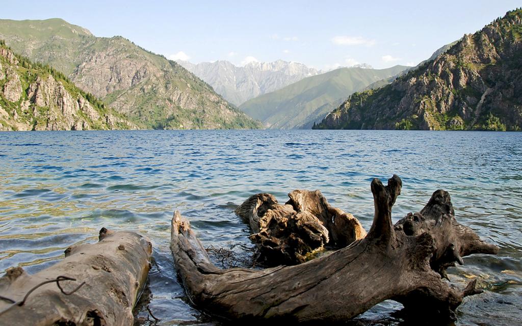 Sary Chelek Reserve