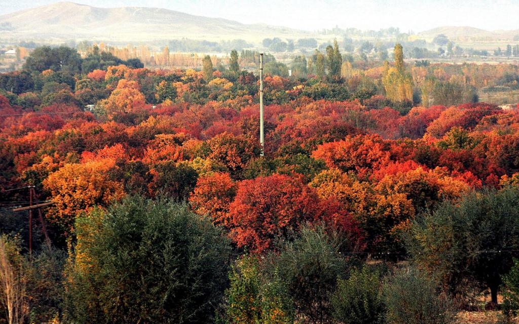 Batken