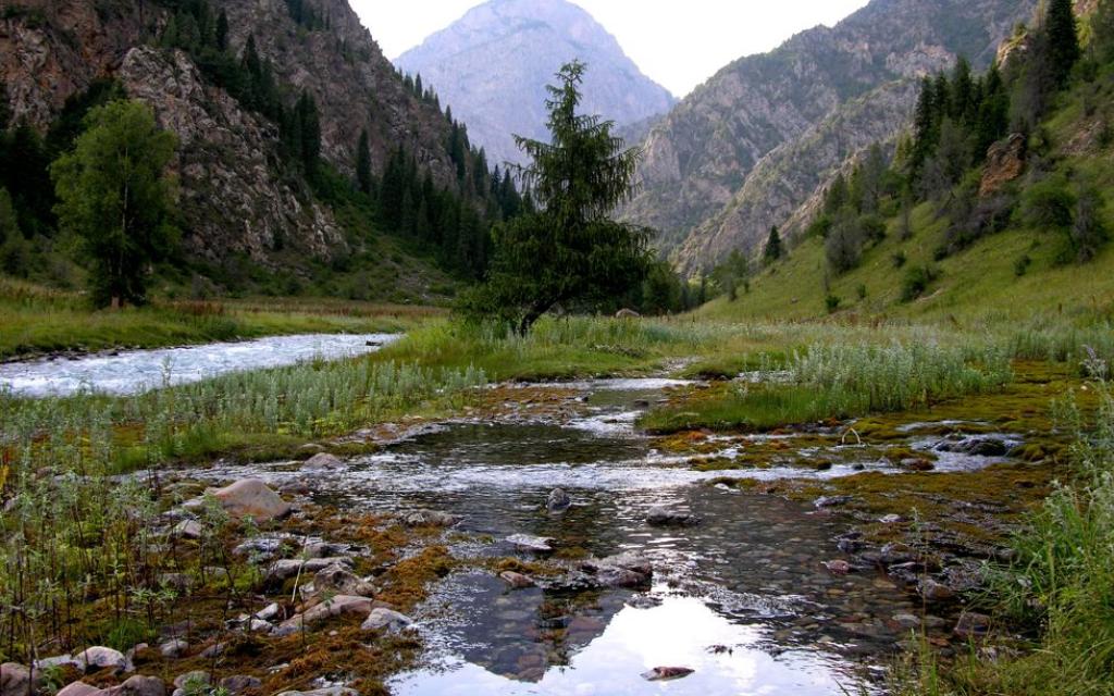 Padysh-Ata Reserve