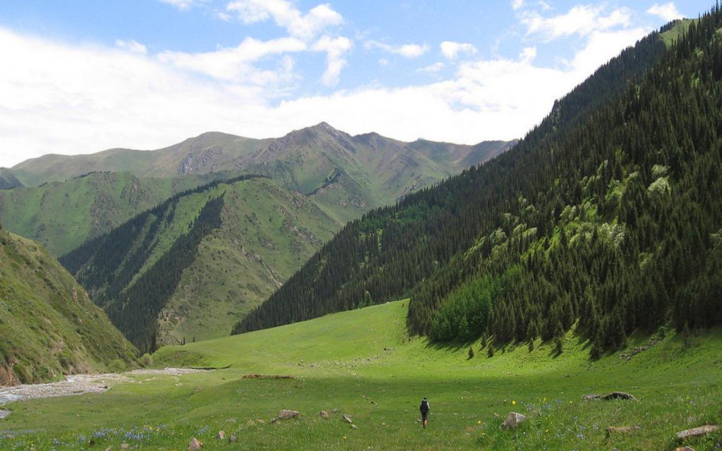 Shamsi Gorge