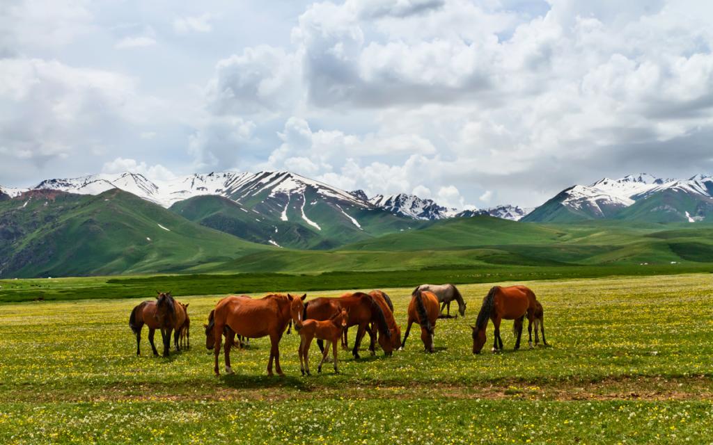 Suusamyr Valley