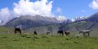 Semenov Gorge Thumbnail