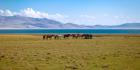 Lake Son-Kul