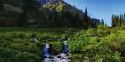 National Park Ala-Archa Thumbnail