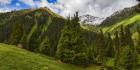 Altyn-Arashan Gorge Thumbnail