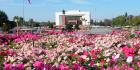 Bishkek Thumbnail